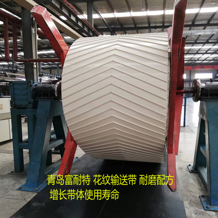 白色花紋輸送帶實(shí)物