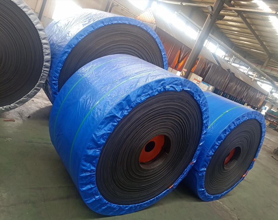 生產(chǎn)輸送帶廠家動力學(xué)研究